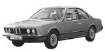 BMW E24 P2624 Fault Code